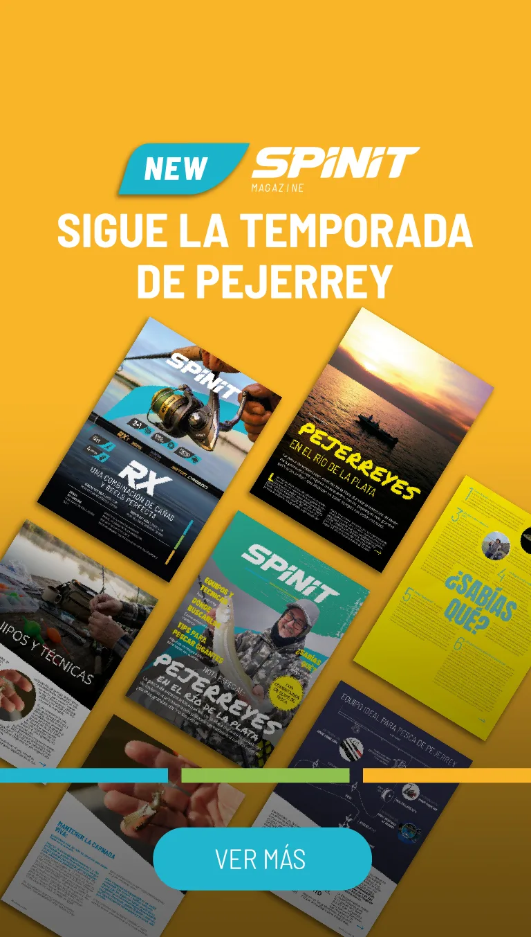 Edición N10 Julio 2025